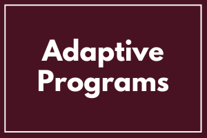 adaptive programs