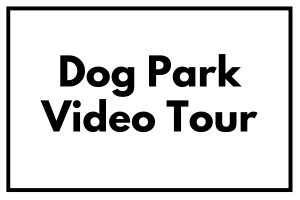 dog park tour