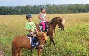 Kids Riding Ponies